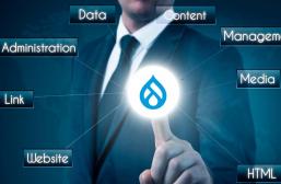 Drupal Content Management